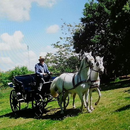 דירות Cenaia Agriturismo Deni מראה חיצוני תמונה