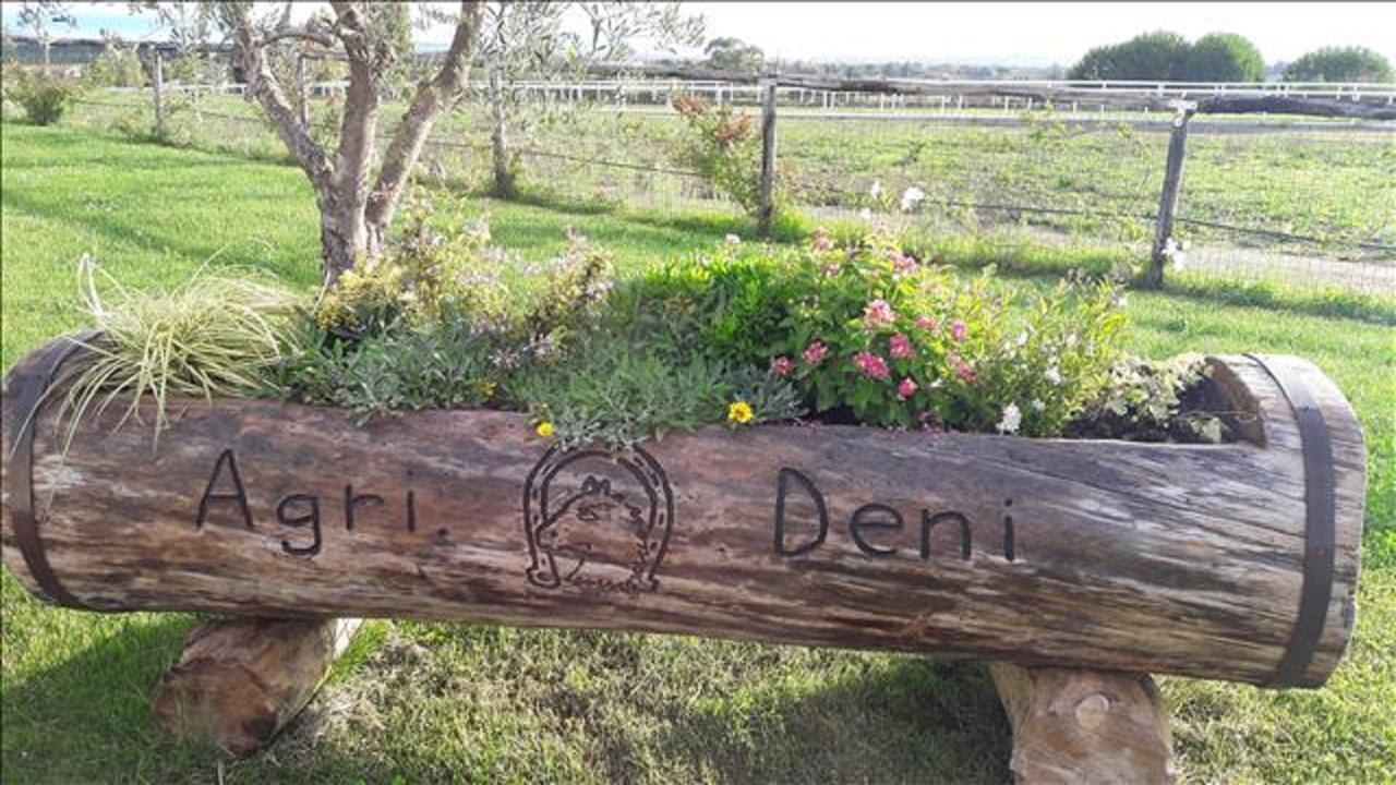 דירות Cenaia Agriturismo Deni מראה חיצוני תמונה